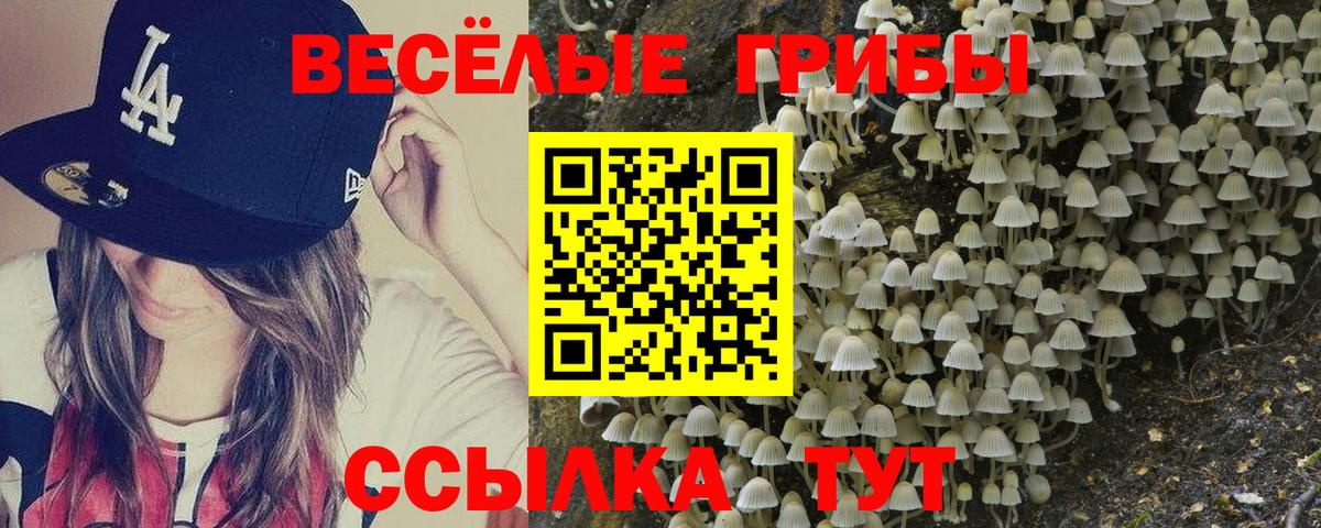 Псилоцибиновые грибы Magic Shrooms  купить наркоту  Новосибирск  Галлюциногенные грибы прущие грибы  Вход с VPN 