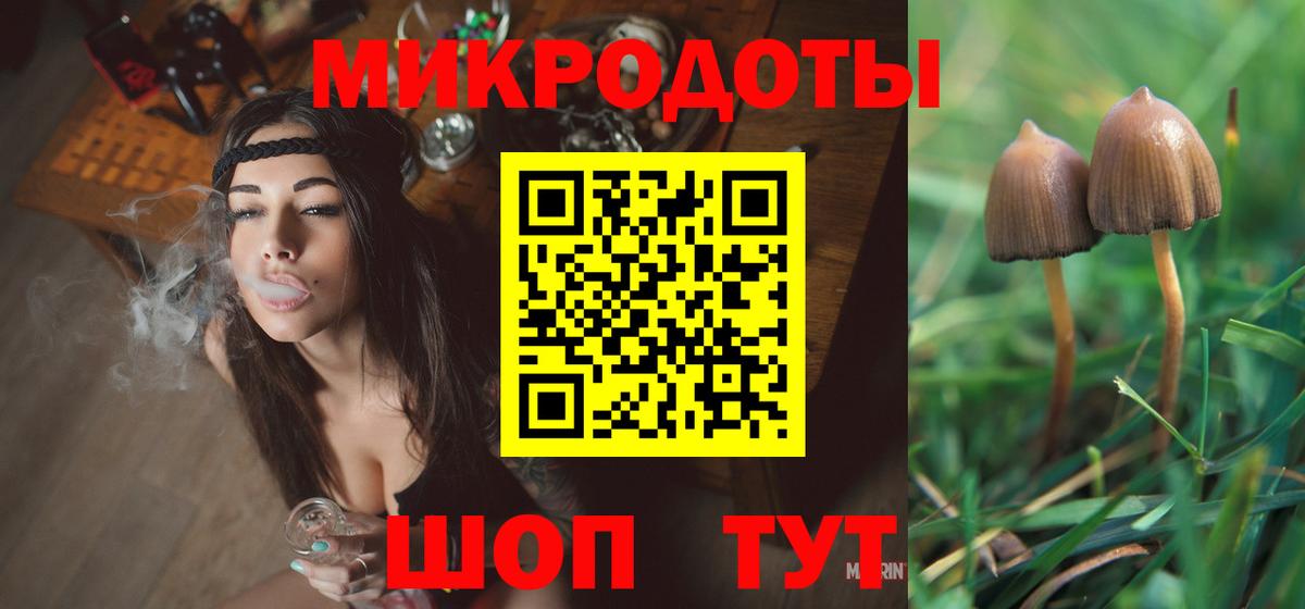 Галлюциногенные грибы Psilocybe Новосибирск